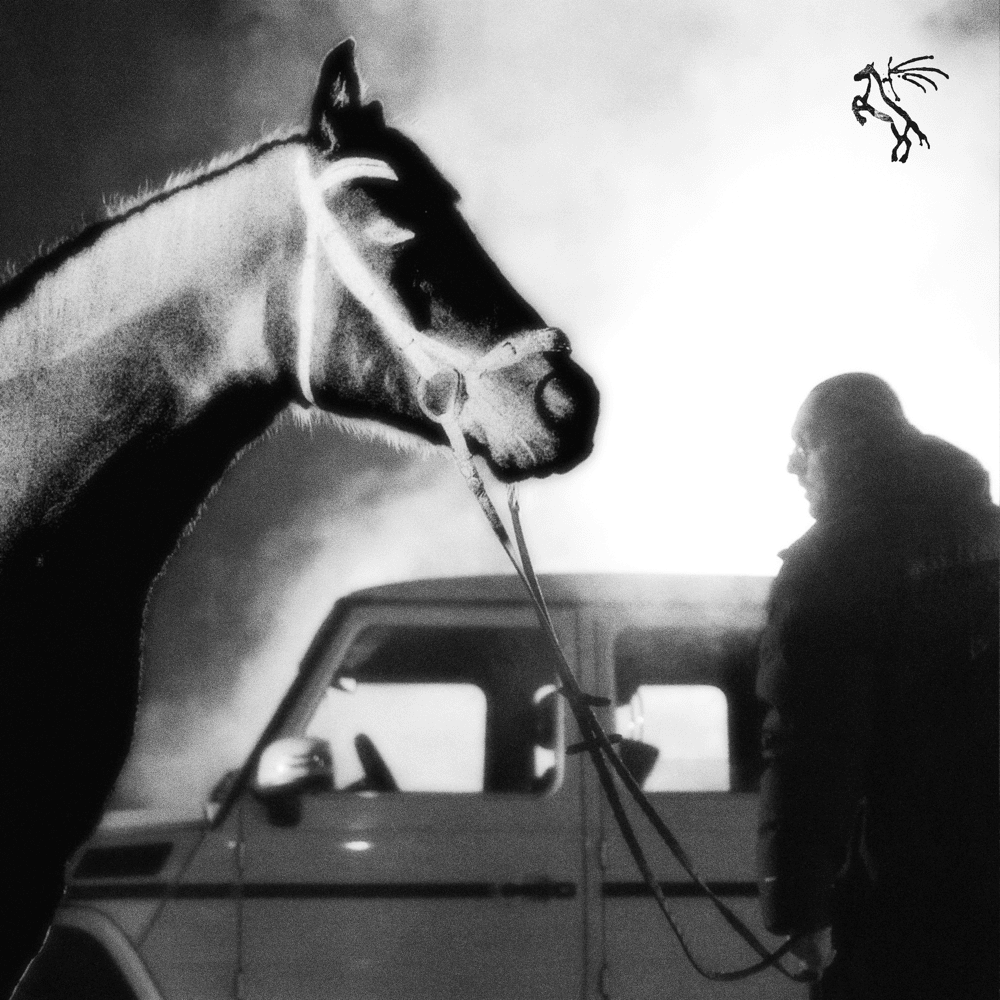 Album cover art for "Czarny koń" by Miszel