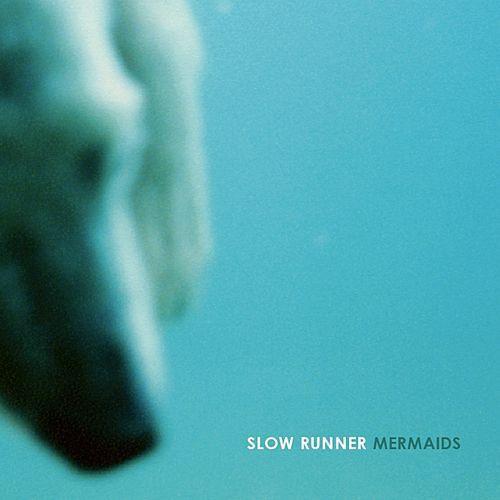 The Stakes Were Raised by Slow Runner