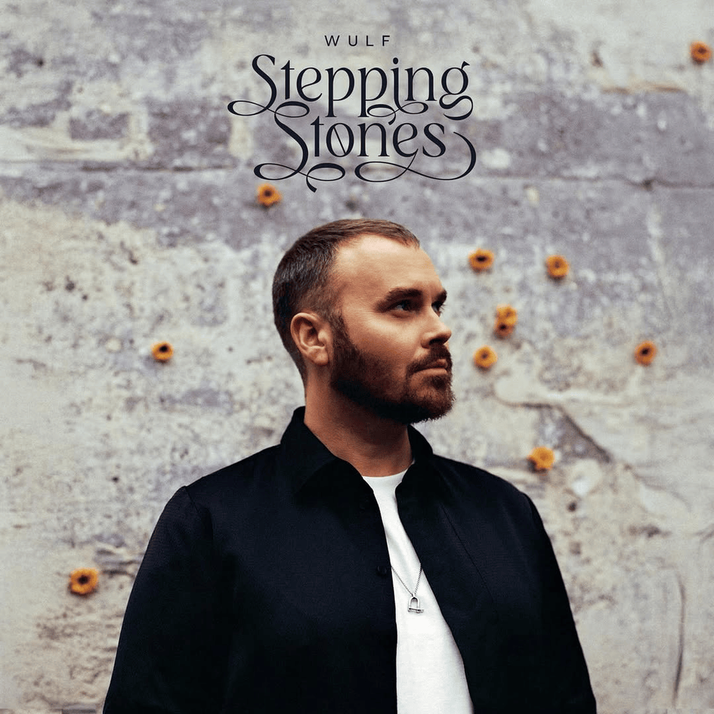 Cover image for Stepping Stones