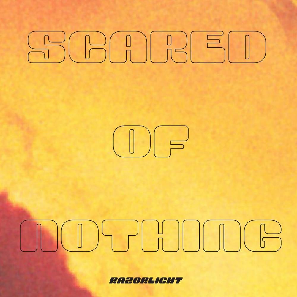 Album cover art for "Scared of Nothing" by Razorlight