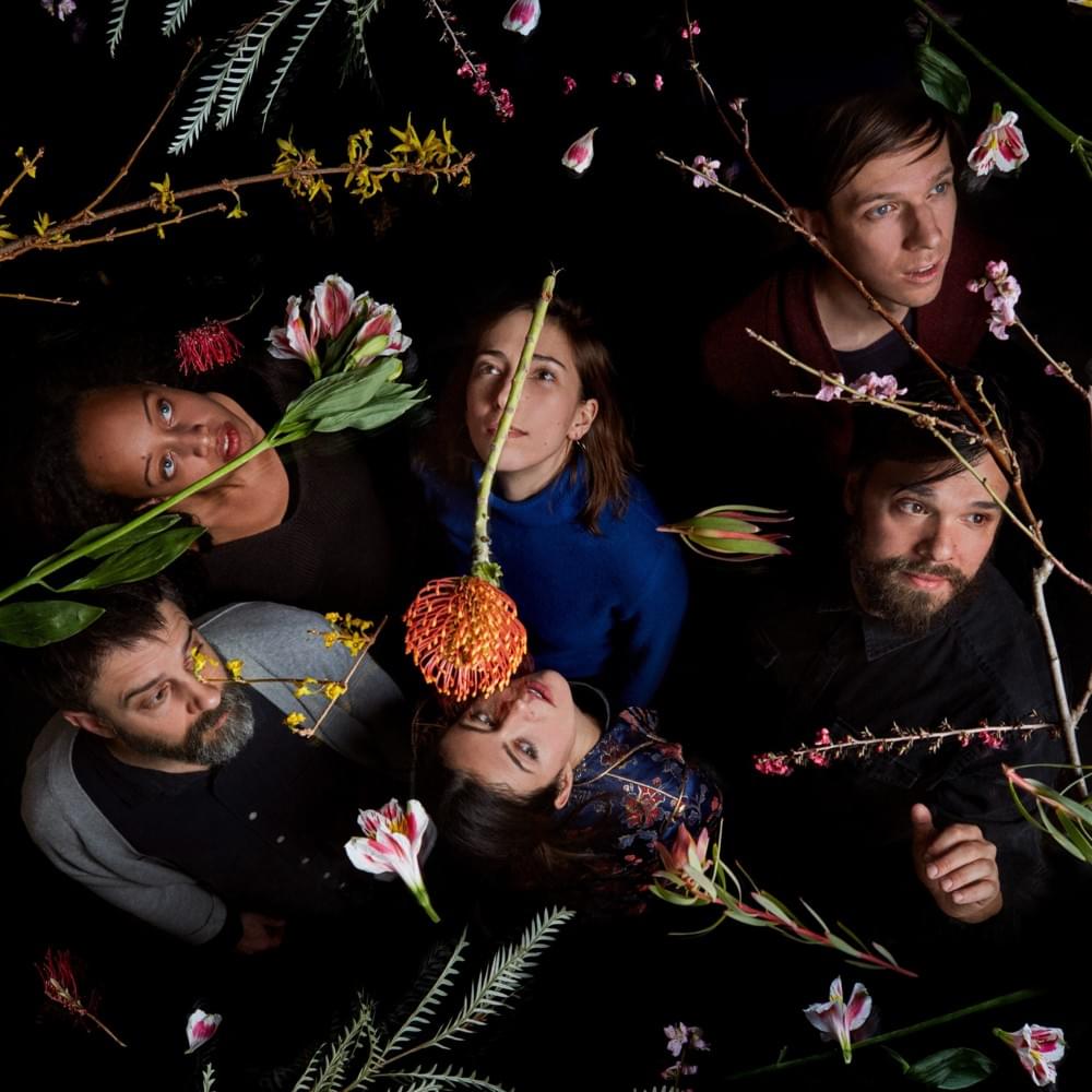 Photo of Dirty Projectors