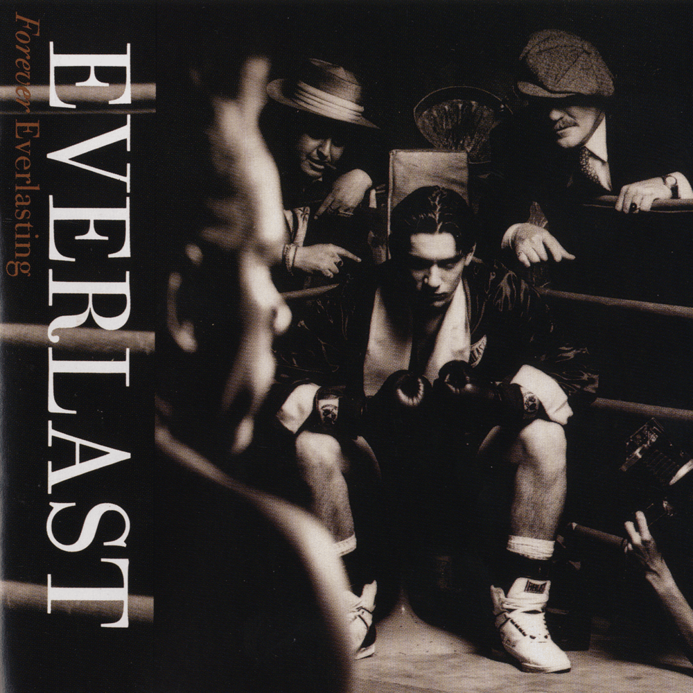 Cover image for Forever Everlasting