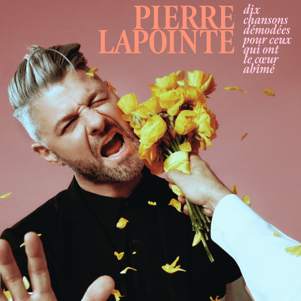 Cover image for Dix chansons démodées pour ceux qui ont le cœur abîmé