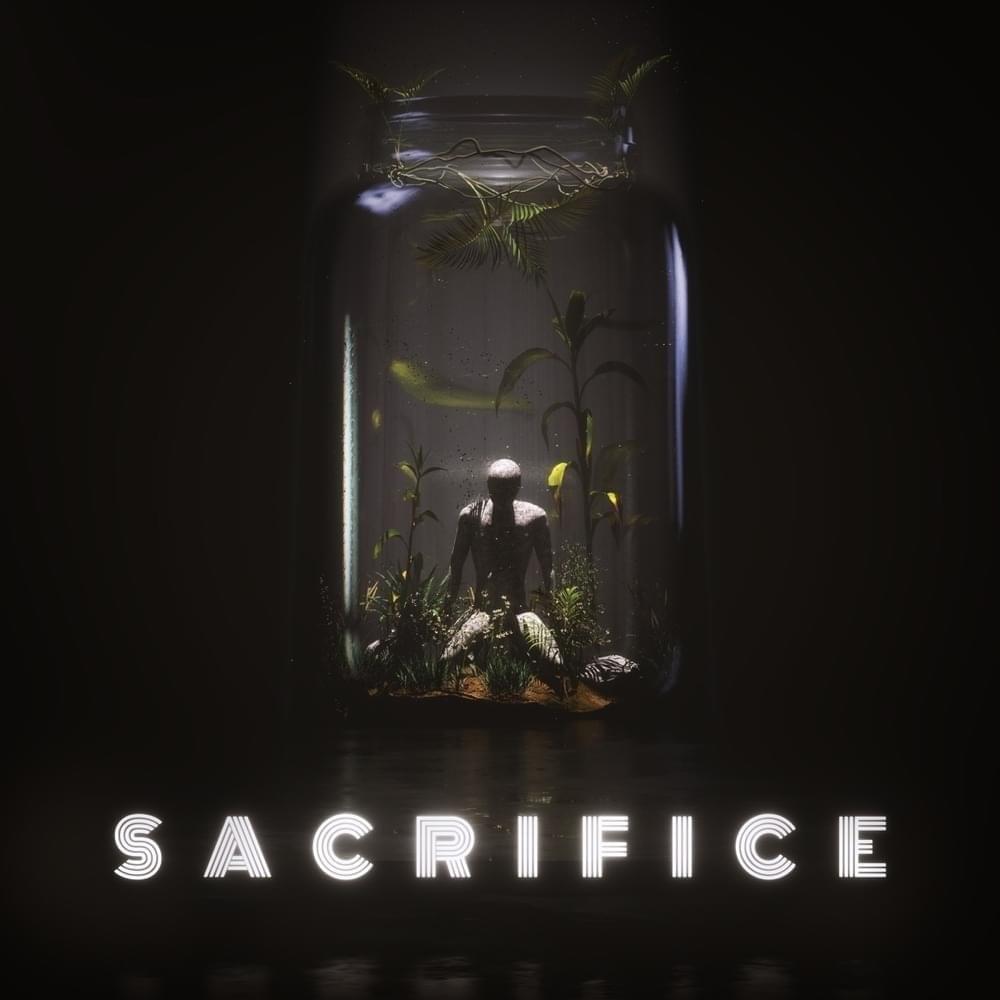 Cover image for Sacrifice (ST Mix) - Single