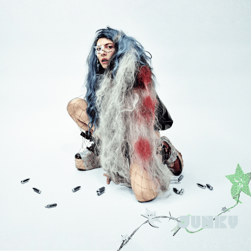 Cover image for JUNKY