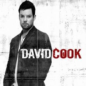 Album cover art for "I Did It For You" by David Cook