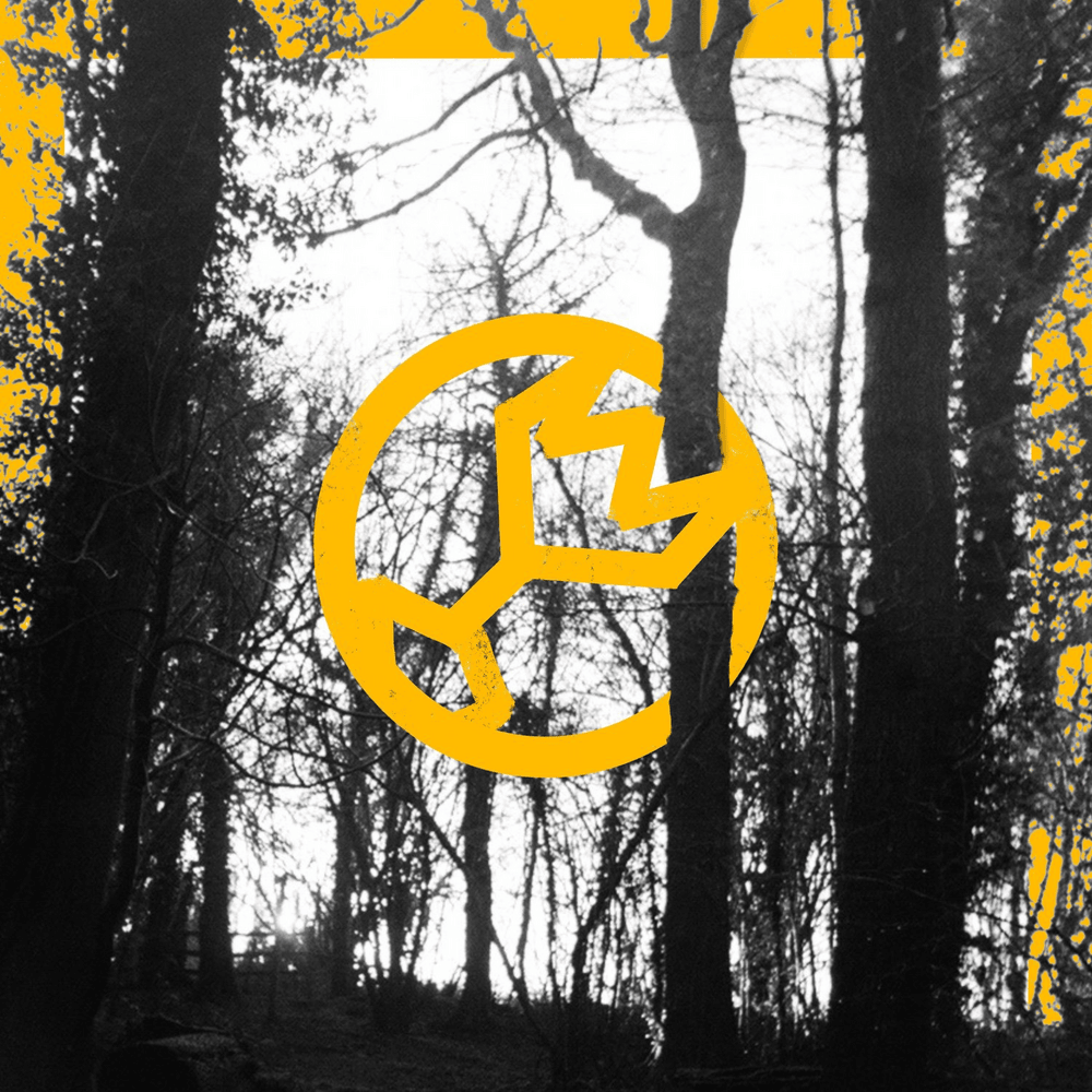 Album cover art for "Great Heights" by Bears in Trees