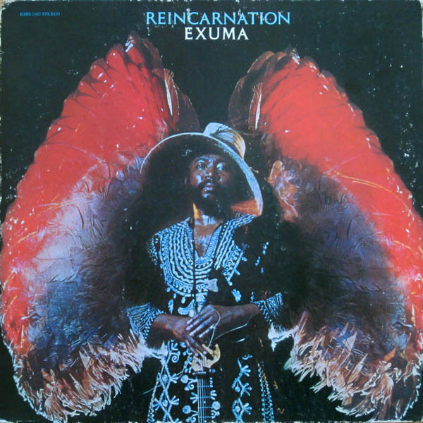 Cover image for Reincarnation