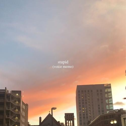Album cover art for "Stupid" by Lizzy McAlpine