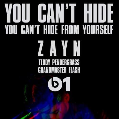 Album cover art for "You Can’t Hide / You Can’t Hide From Yourself" by ZAYN