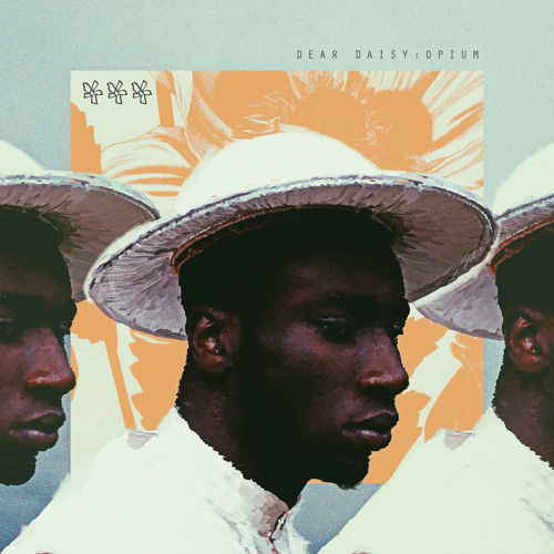Album cover art for "Flaws : A Lament To Rose" by Kojey Radical