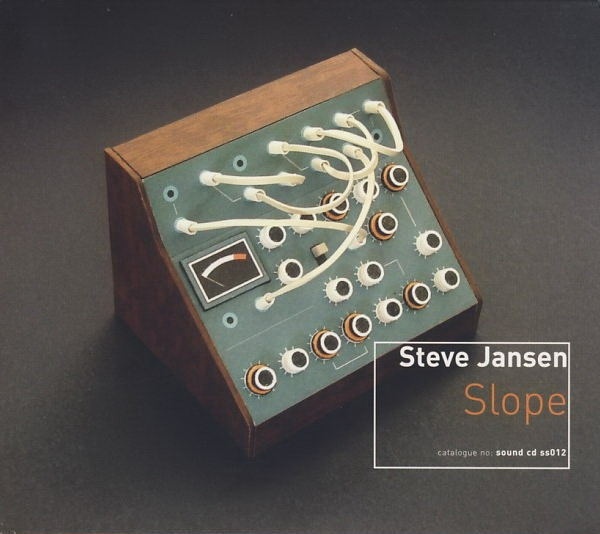 Album cover art for "Playground Martyrs" by Steve Jansen & David Sylvian