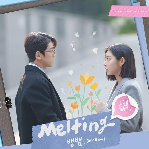 Album cover art for "Melting (Inst.)" by BamBam