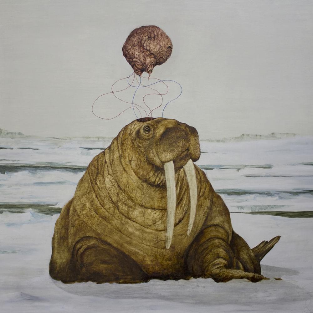 Cover image for Toothsayer