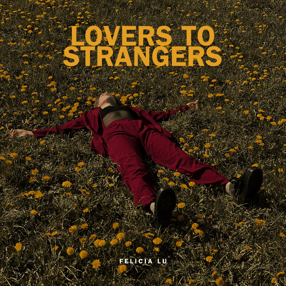 Lovers To Strangers by Felicia Lu