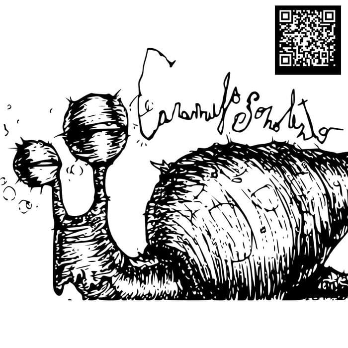 Cover image for Rastejando Entre Cogumelos