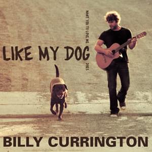 Album cover art for "Like My Dog" by Billy Currington