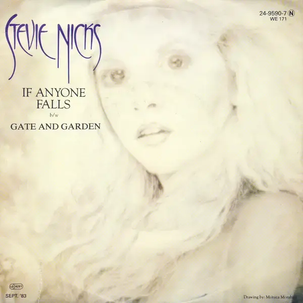 Album cover art for "If Anyone Falls" by Stevie Nicks