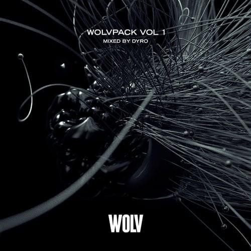 Cover image for WOLVPACK, Vol. 1