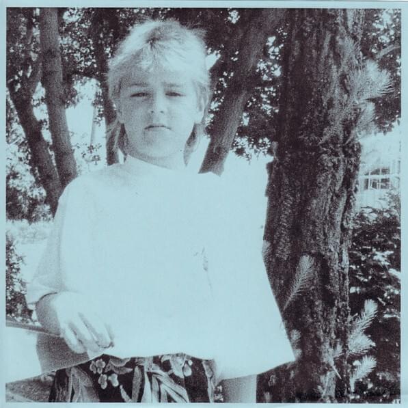 Album cover art for "Reminiscences" by Ariel Pink