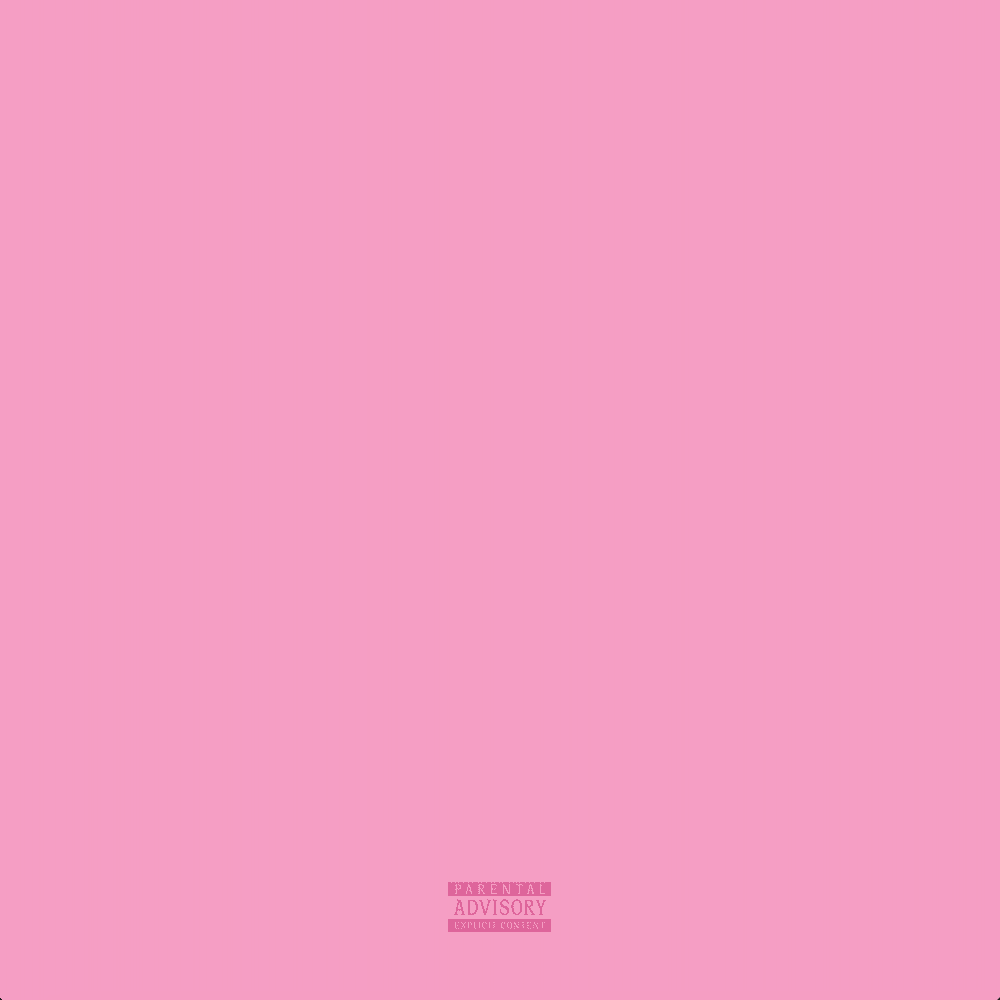 Cover image for PINK SUMMER