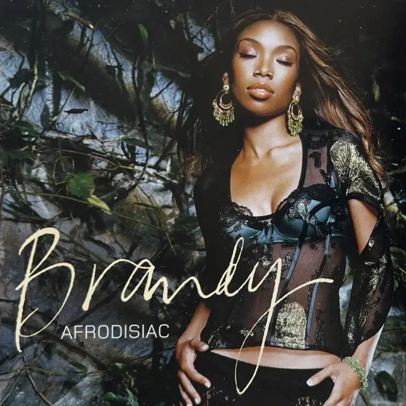 Album cover art for "Afrodisiac" by Brandy