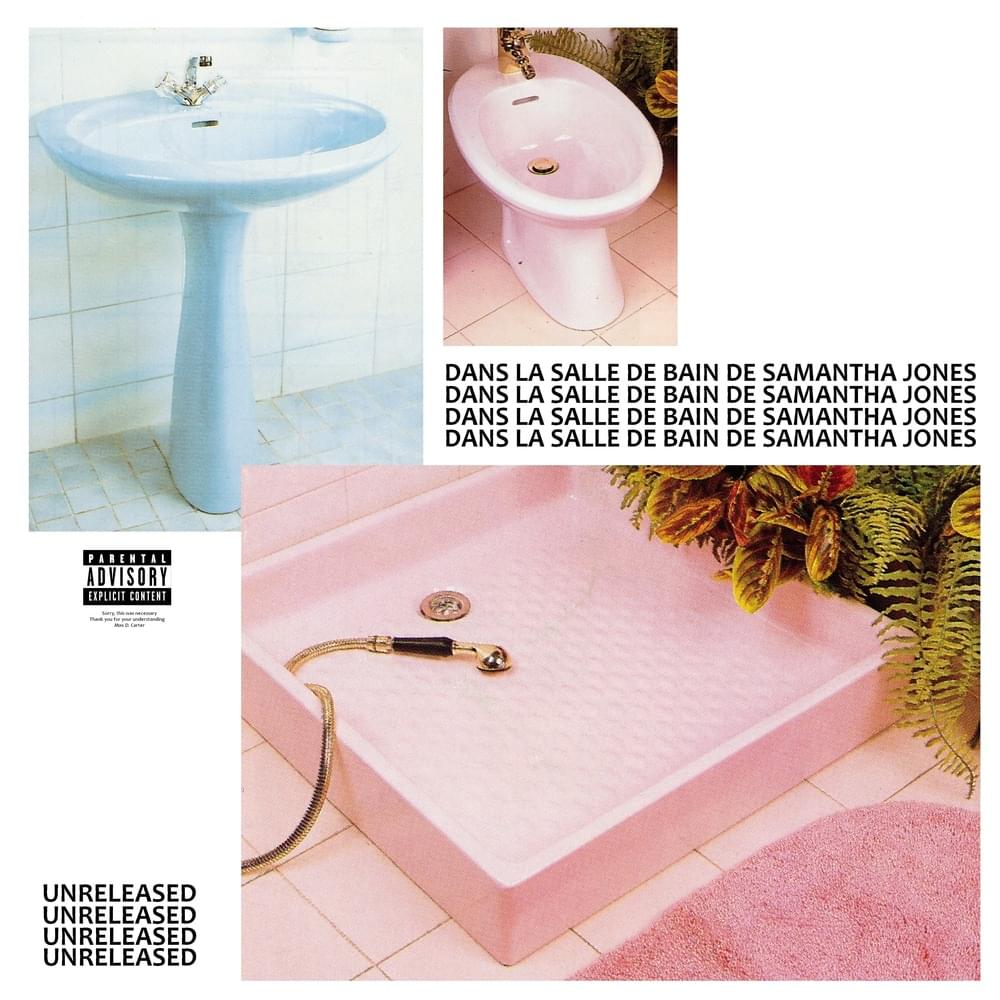 Cover image for Dans la salle de bain de Samantha Jones