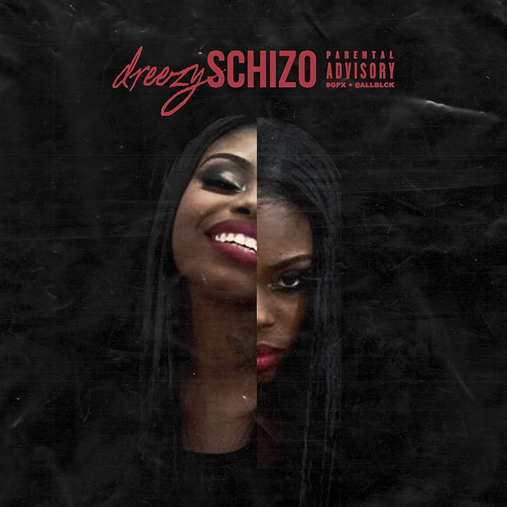 Cover image for Schizo