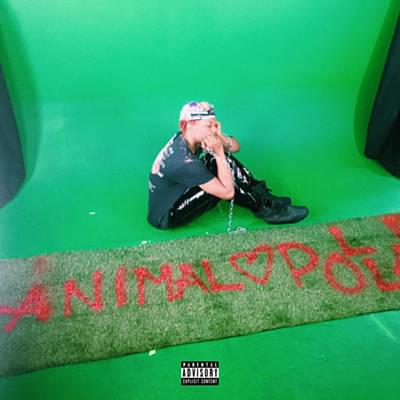 Album cover art for "Animal" by Pollari