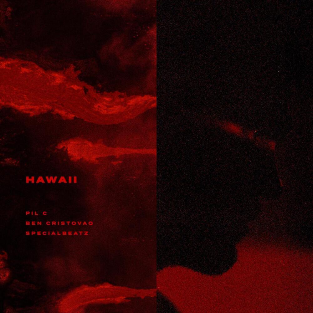 HAWAII by Pil C