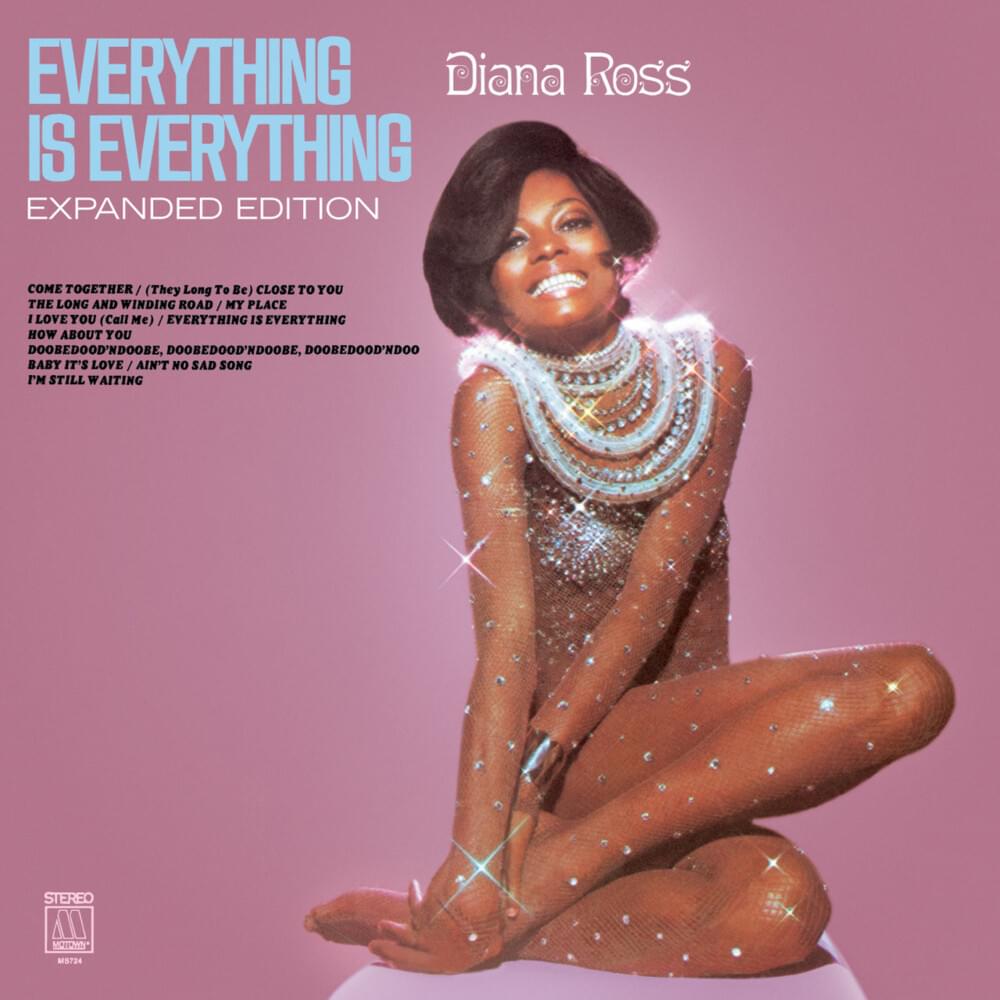 Cover image for Everything Is Everything