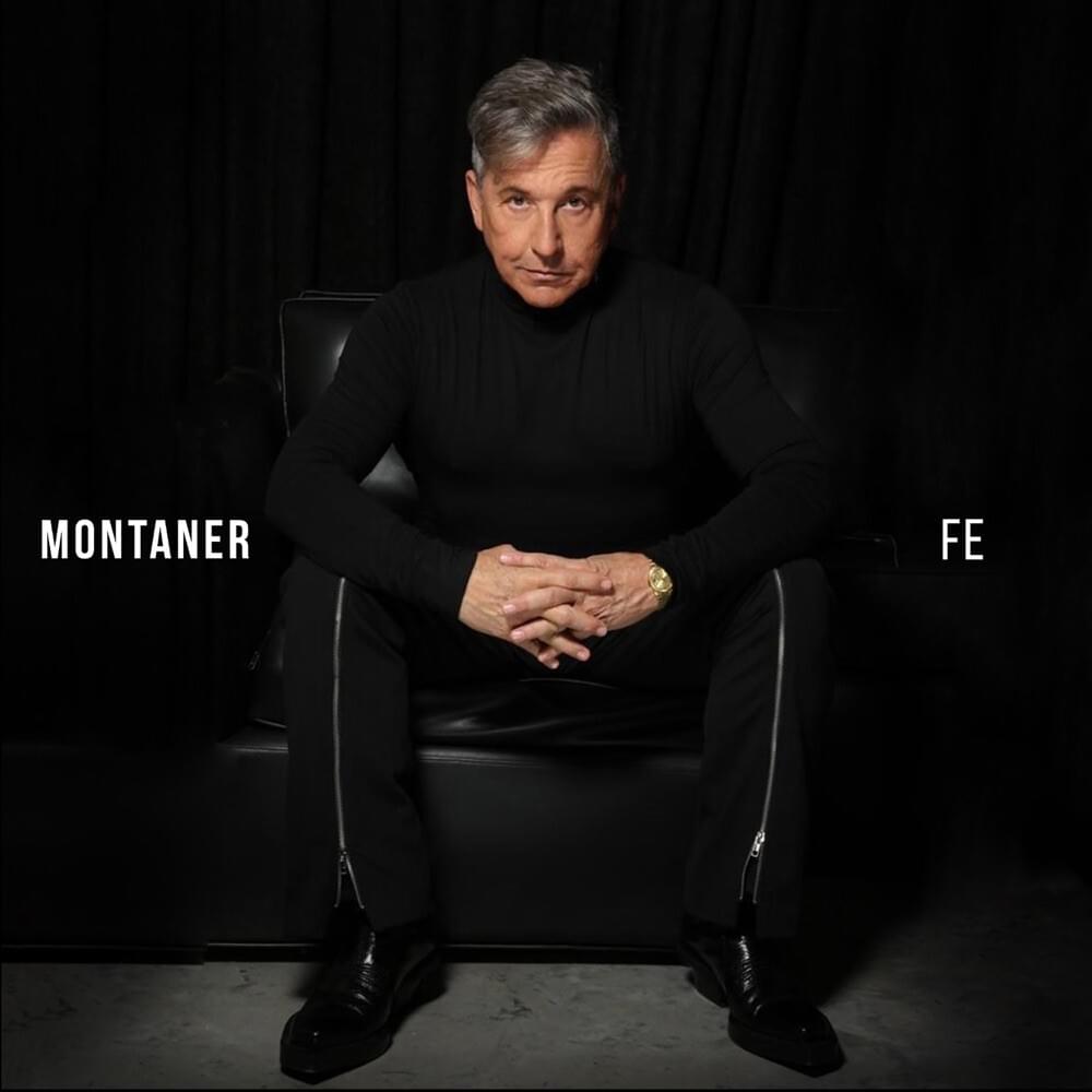 Cover image for Fe