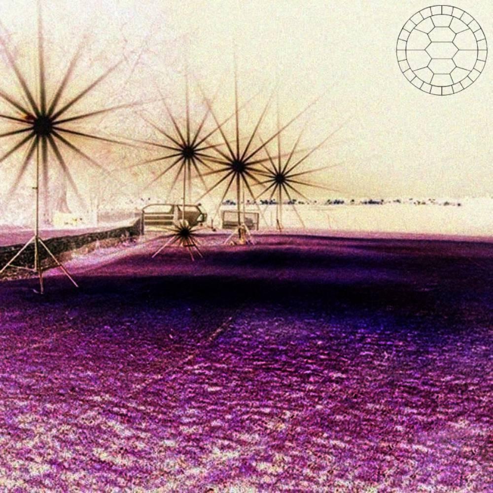 Album cover art for "the world is a turtle!" by FILT