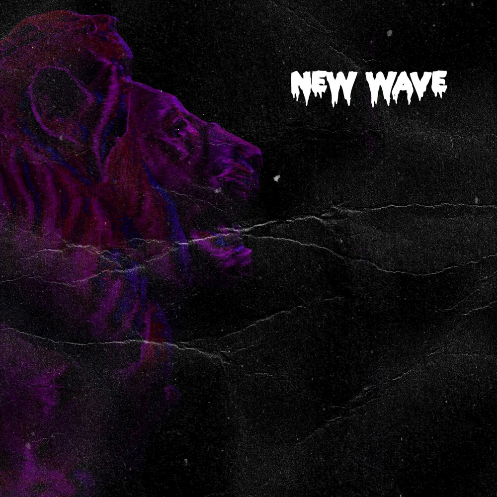 Album cover art for "New Wave" by DC The Don