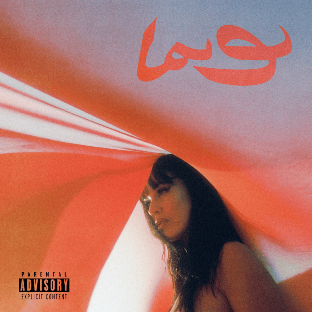 Album cover art for "La 9" by La Zowi