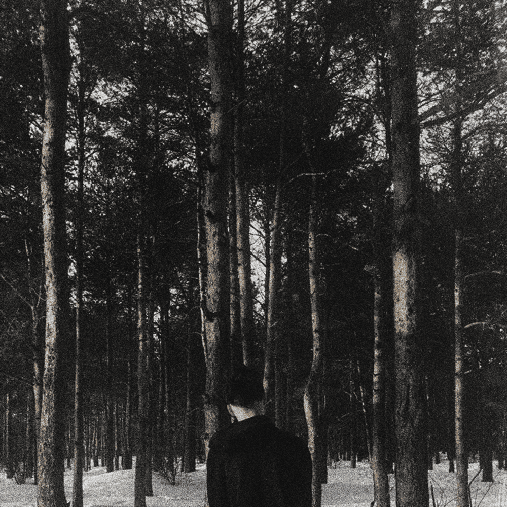 Album cover art for "Broken Butterfly" by WARYKID