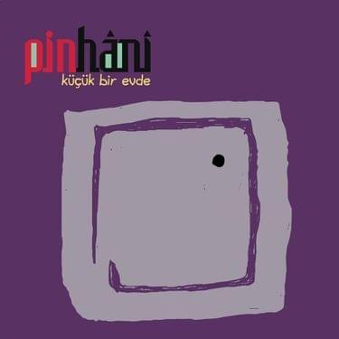 Album cover art for "Beni Böyle Sevemezsin" by Pinhani