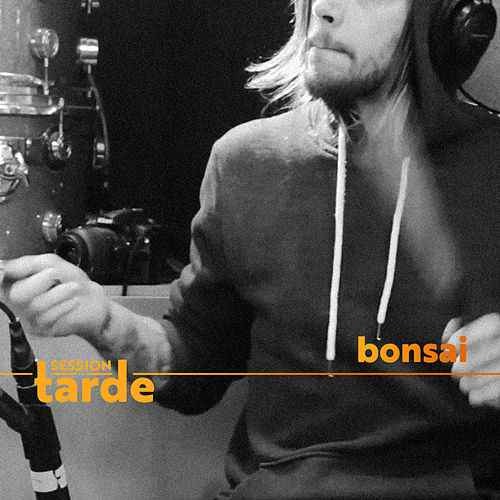 Bonsai (Session da Tarde) by Supercombo