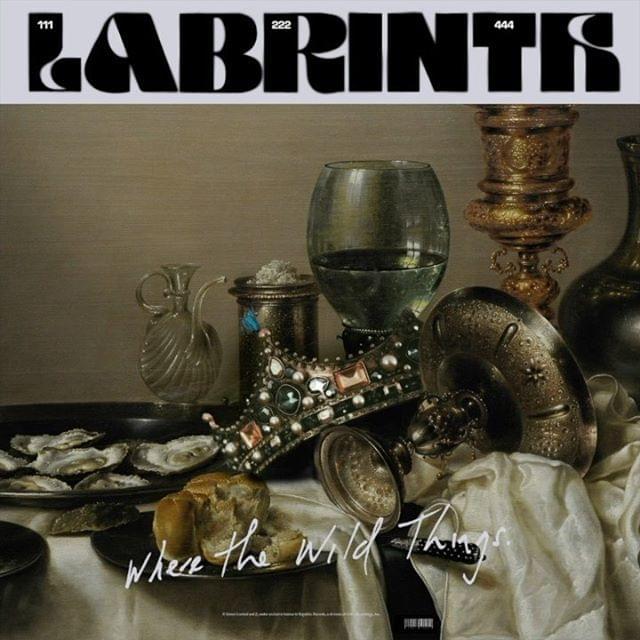 Album cover art for "Where the Wild Things" by Labrinth