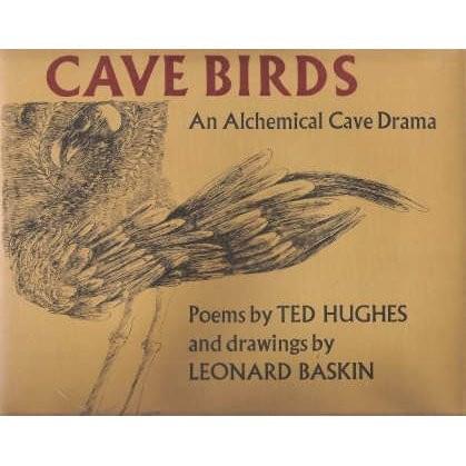 Cover image for Cave Birds