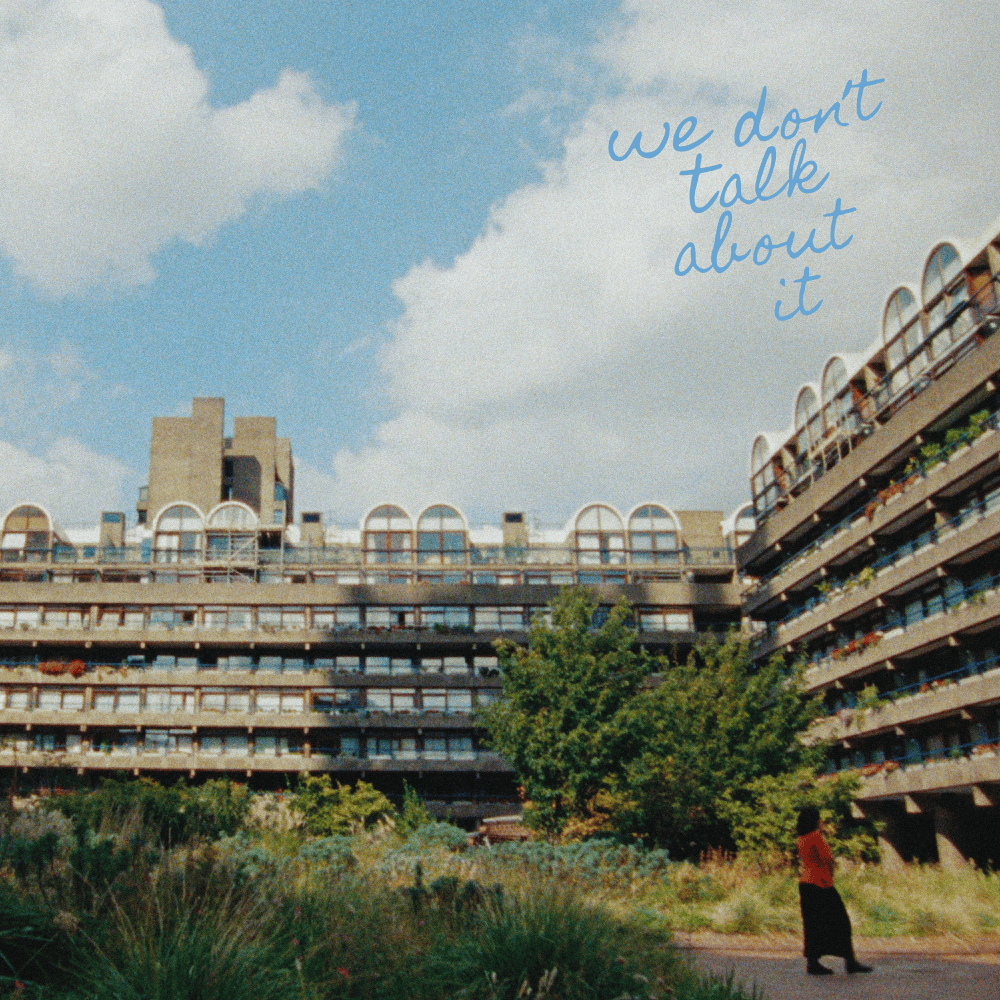 Album cover art for "We Don’t Talk About It" by Thelma Plum