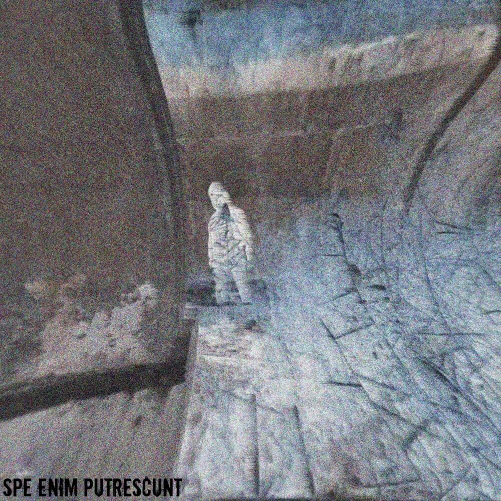 Cover image for Spe Enim Putrescunt