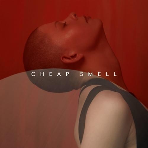 Album cover art for "Cheap Smell" by Kovacs