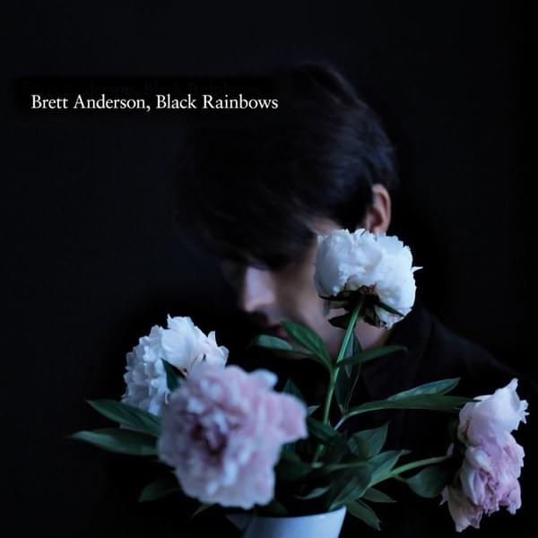 This Must Be Where It Ends by Brett Anderson