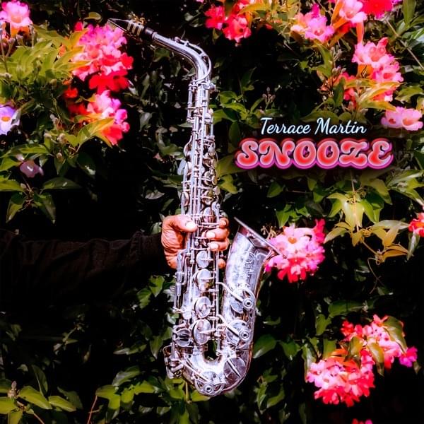 Album cover art for "Snooze" by Terrace Martin