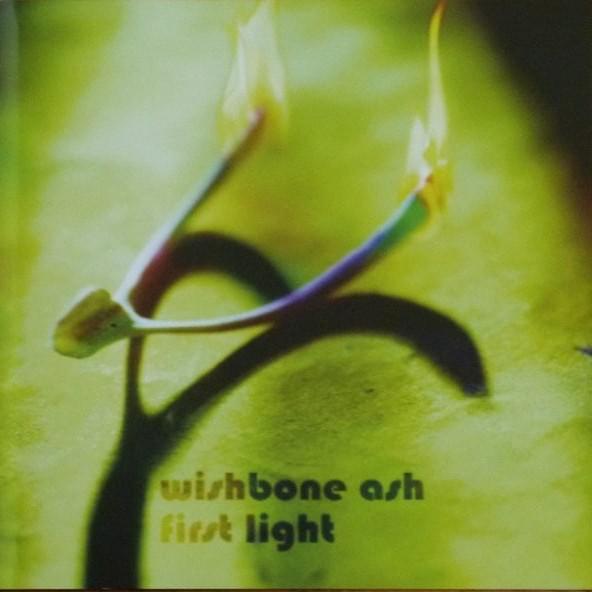 Cover image for First Light
