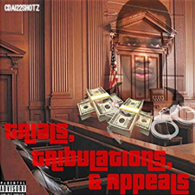 Cover image for Trials, Tribulations & Appeals