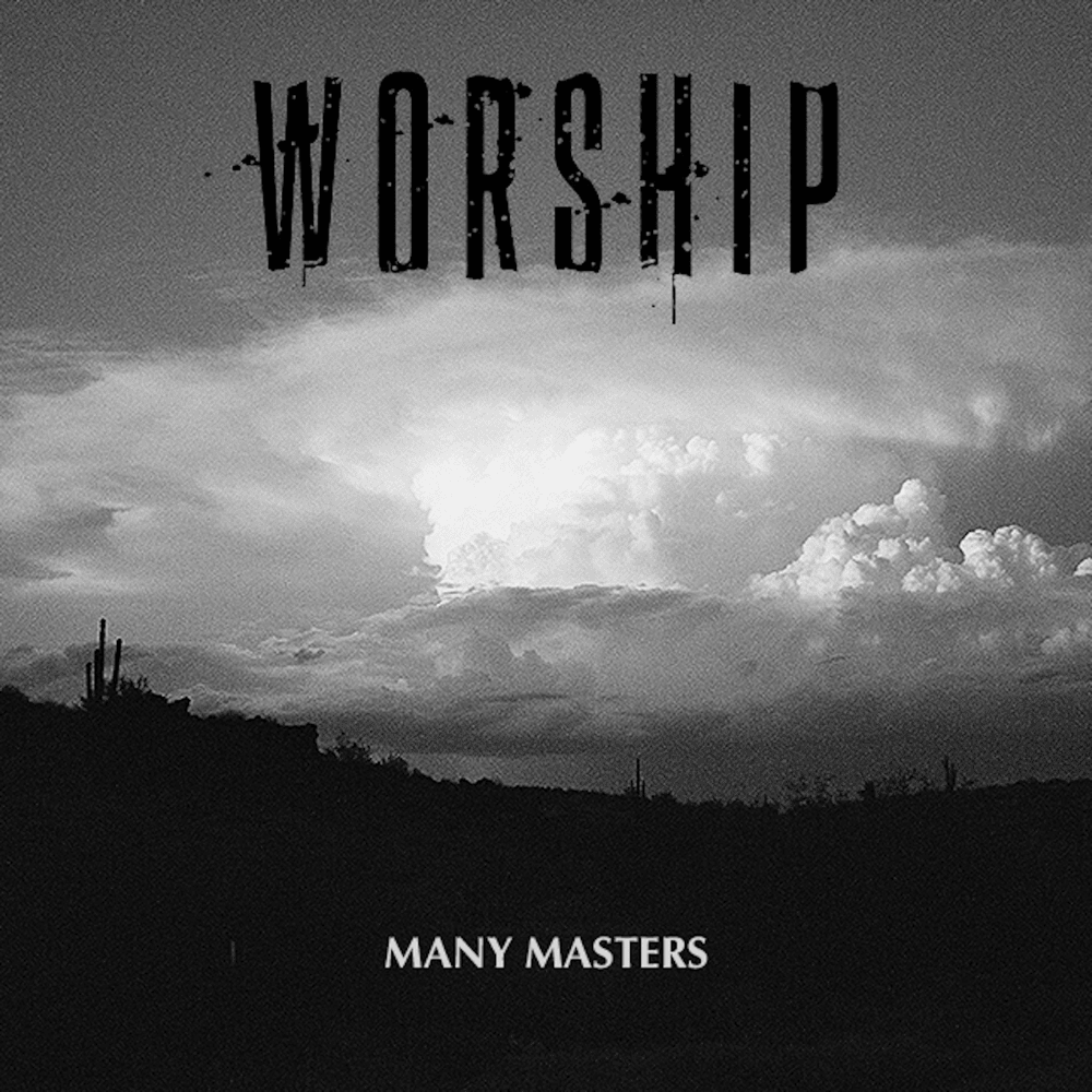 Album cover art for "Many Masters" by Adult Swim