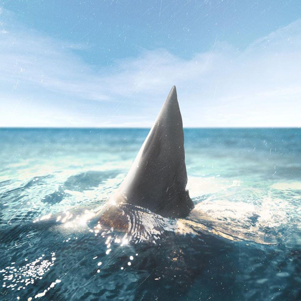 Album cover art for "Zamanım Yok" by Ohash