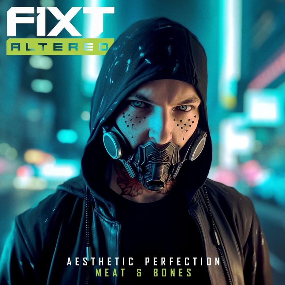 Album cover art for "Meat & Bones" by Aesthetic Perfection